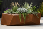 Geometric metal planter with plants against a black background -Leading Landscapes Limited