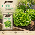 Yates Heirloom Lettuce Tom Thumb seeds — compact heritage lettuce seeds — Leading Landscapes Canterbury