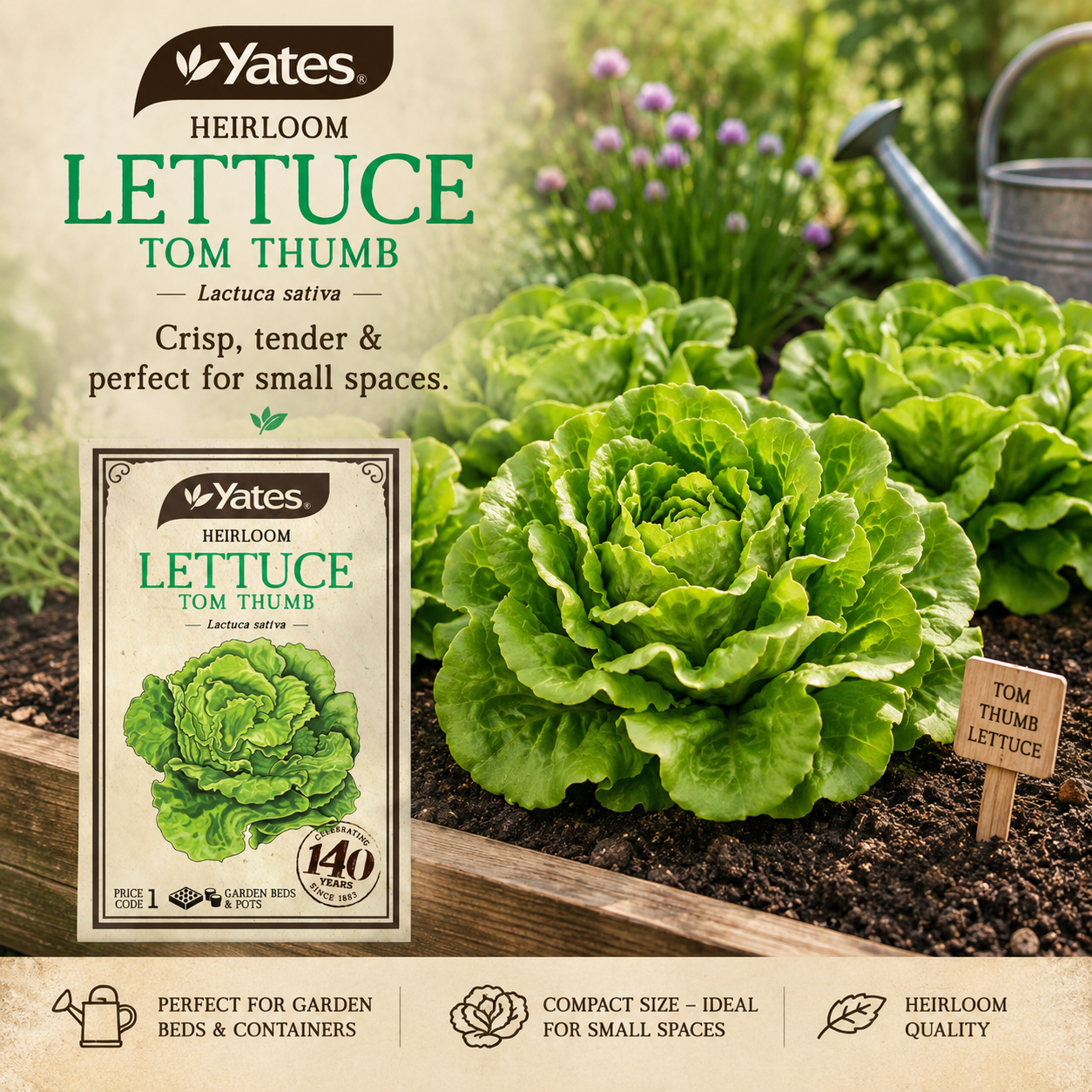 Yates Heirloom Lettuce Tom Thumb seeds — compact heritage lettuce seeds — Leading Landscapes Canterbury