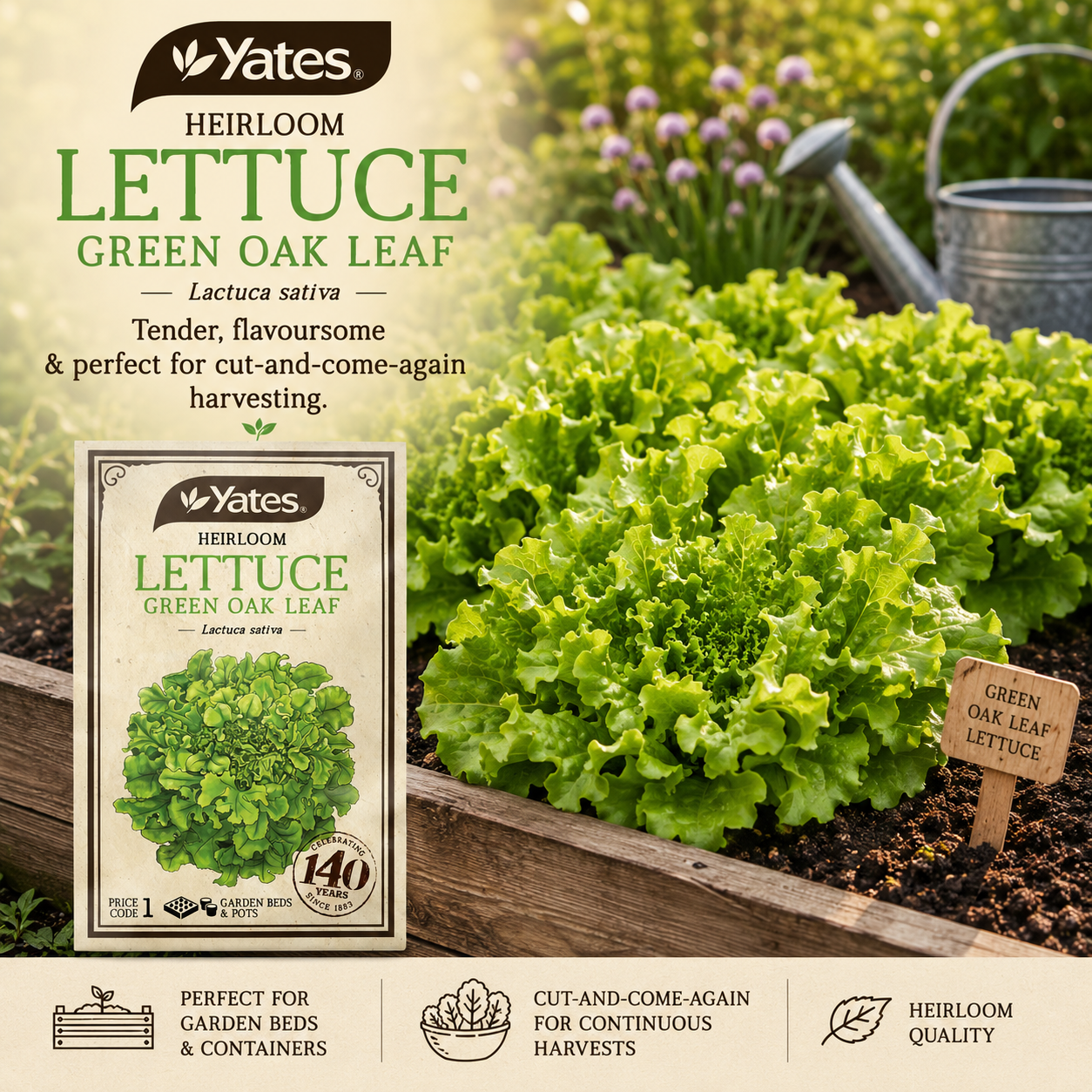 Yates Heirloom Lettuce Green Oak Leaf seeds — heritage salad seeds — Leading Landscapes Canterbury