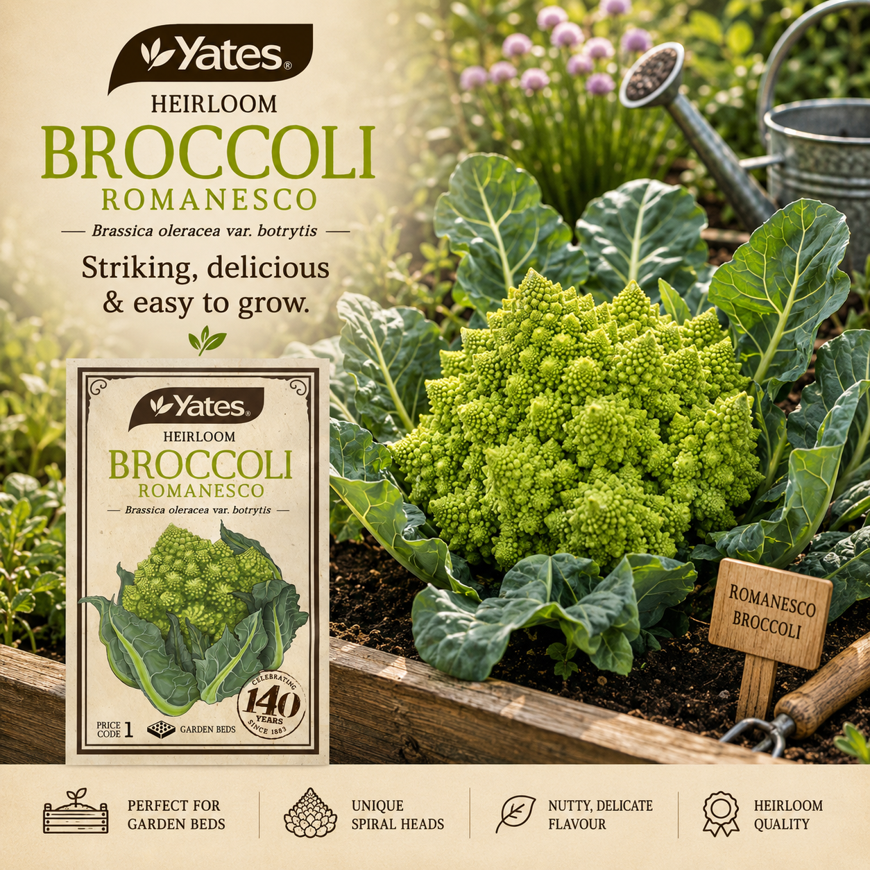 Yates Heirloom Broccoli Romanesco seeds — heritage vegetable seeds — Leading Landscapes Canterbury