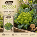 Yates Heirloom Broccoli Romanesco seeds — heritage vegetable seeds — Leading Landscapes Canterbury