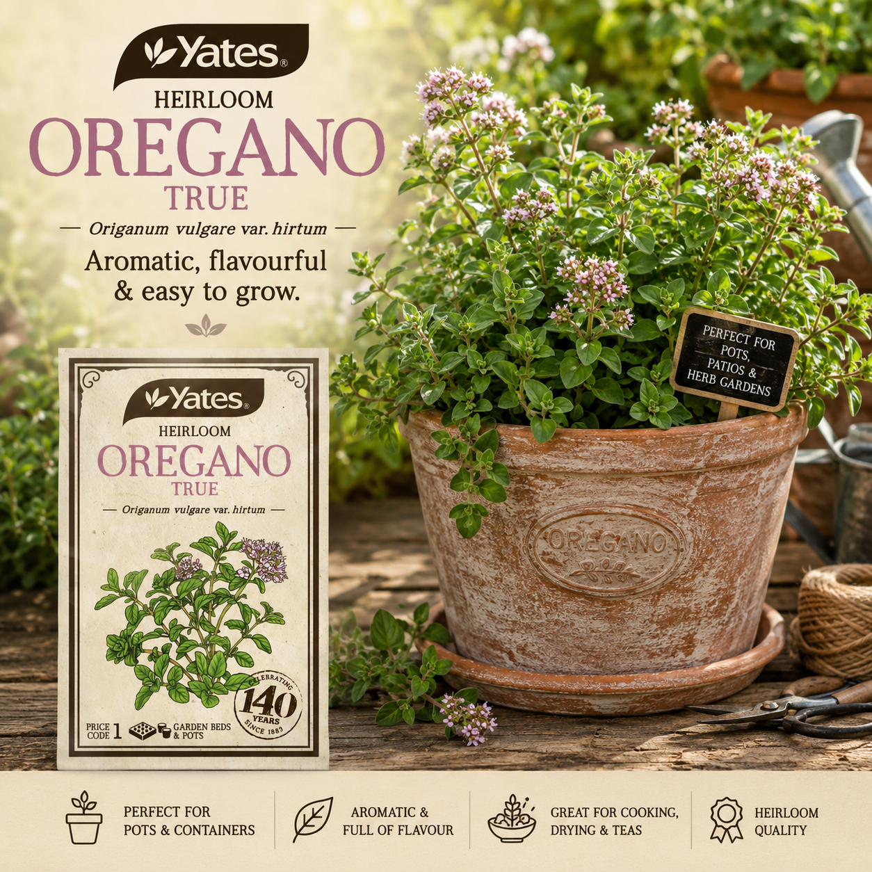 Yates Heirloom Oregano seeds — heritage herb seeds for kitchen gardens — Leading Landscapes Canterbury