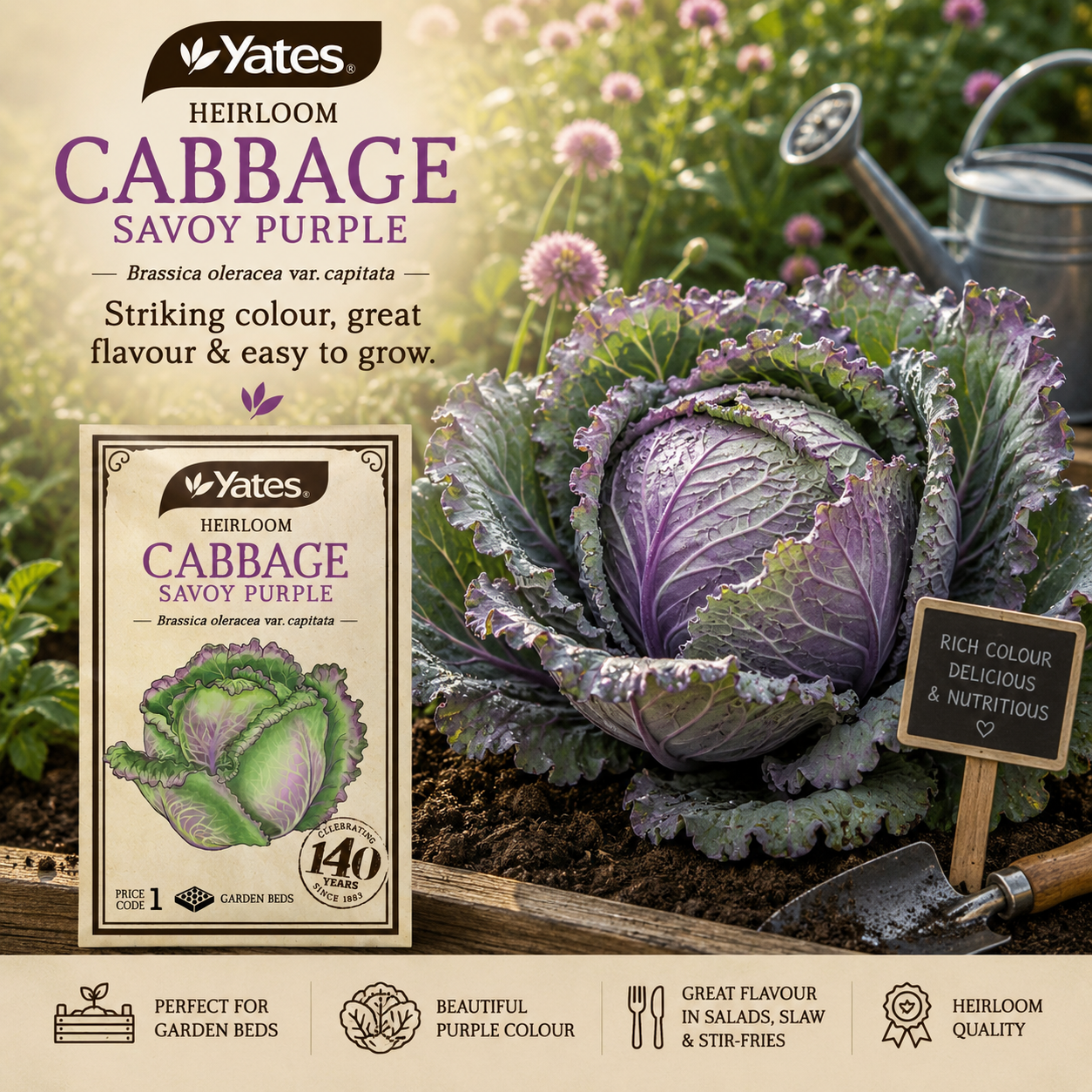 Yates Heirloom Cabbage Savoy seeds — heritage vegetable seeds — Leading Landscapes Canterbury