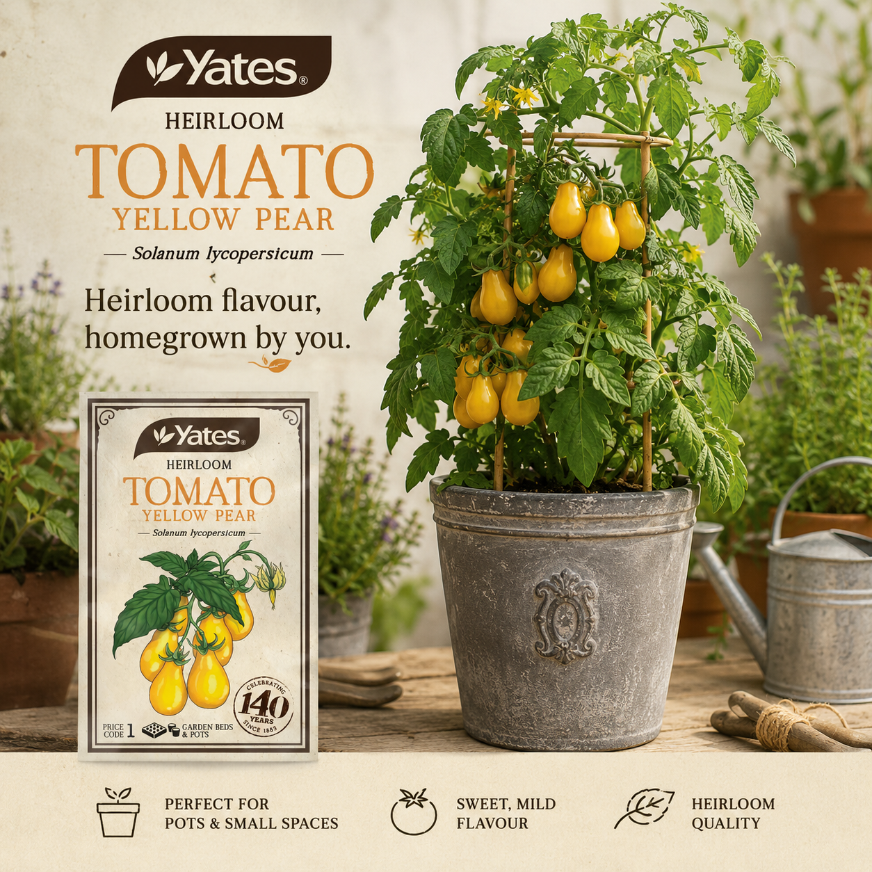 Yates Heirloom Tomato Yellow Pear seeds — heritage vegetable seeds — Leading Landscapes Canterbury