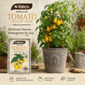 Yates Heirloom Tomato Yellow Pear seeds — heritage vegetable seeds — Leading Landscapes Canterbury