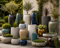 Collection of various potted plants and vases in an outdoor setting - Leading Landscapes