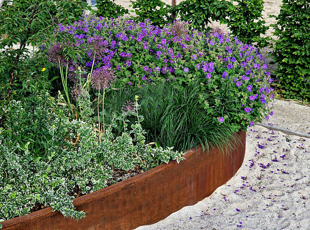 Corten steel edging installed in garden bed — Leading Landscapes Canterbury