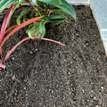 Premium garden mix soil for planting and garden beds — Leading Landscapes Canterbury