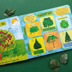 An illustrated children's book spread showing types of trees, photographed on a dark green surface with a few leaves placed around it. The pages contain colorful diagrams and labels such as Willow Tree, Horse Chestnut Tree, and Eucalyptus Tree.