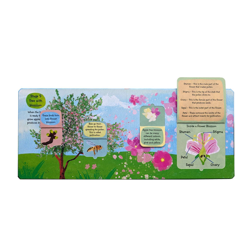 An educational wooden board book about the flower life cycle, featuring a colorful spring garden scene with a blossoming tree, flowers, a bee, and labeled diagram panels showing stamen, pistil, and ovary.