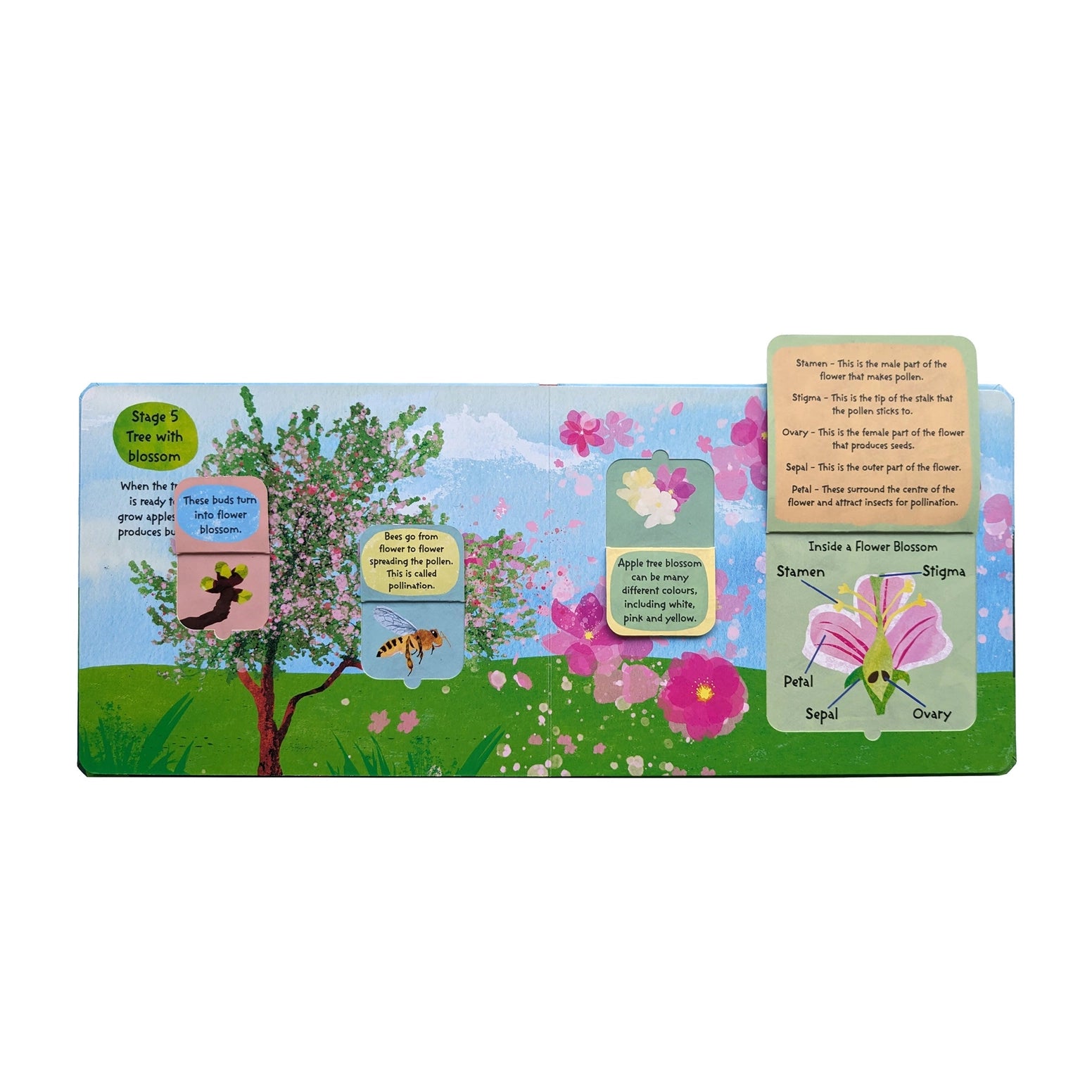 An educational wooden board book about the flower life cycle, featuring a colorful spring garden scene with a blossoming tree, flowers, a bee, and labeled diagram panels showing stamen, pistil, and ovary.