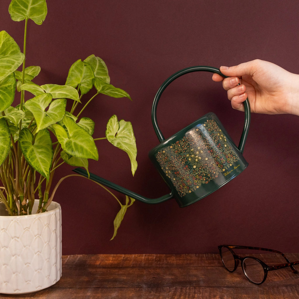 Hand holding a green watering can over a plant on a wooden surface with a maroon background