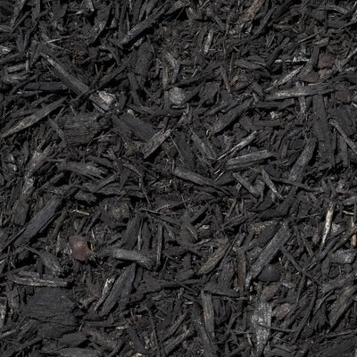 Double Black Bark