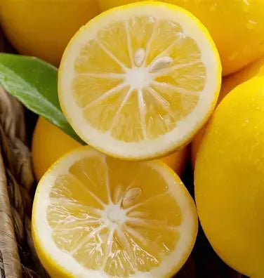 Lemon Meyer - Citrus Lemon
